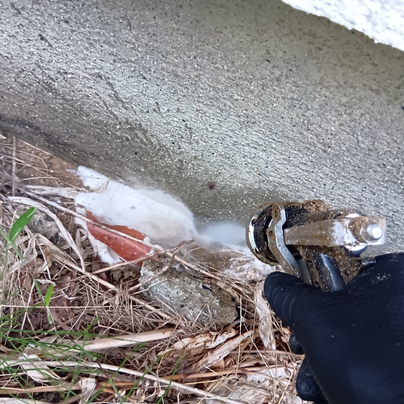 建物外周の土壌にシロアリ駆除剤を散布