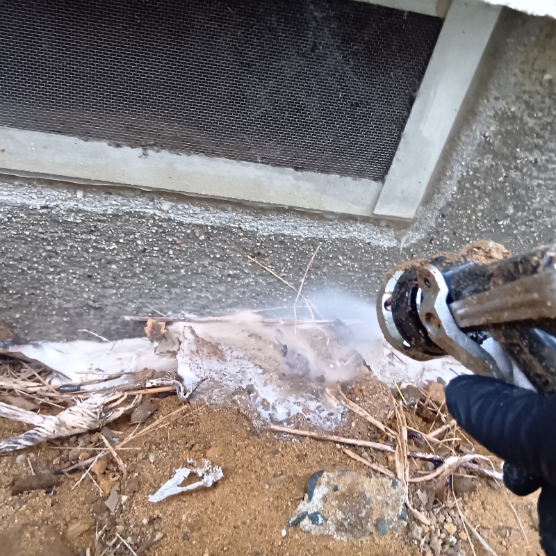 建物外周の土壌にシロアリ駆除剤を散布