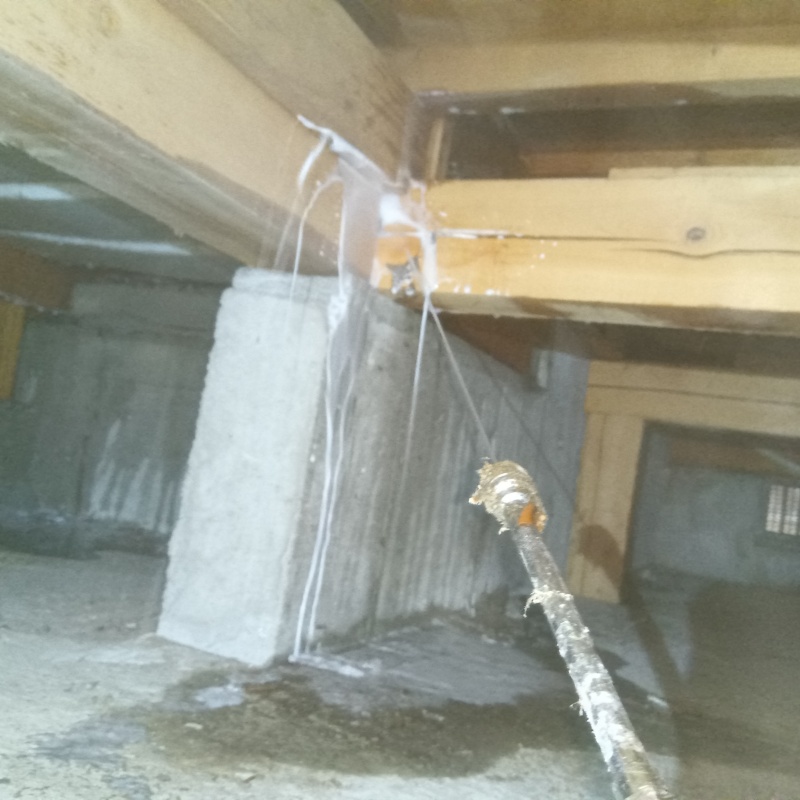 床下木材にシロアリ駆除剤を散布