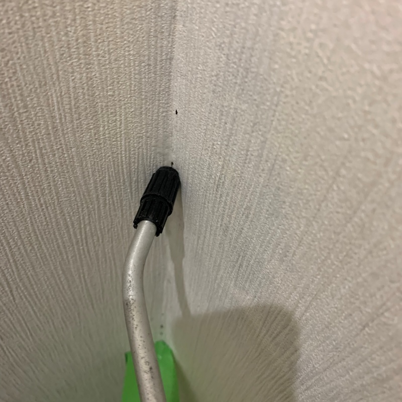 壁材に穴を開けてシロアリ駆除剤を注入