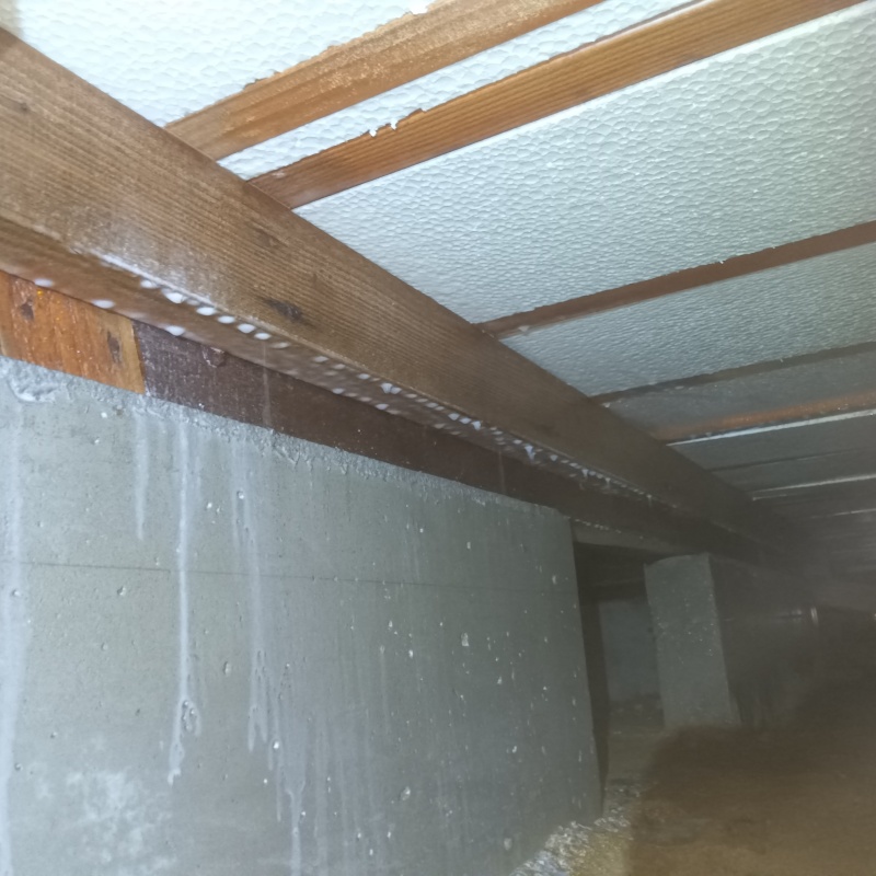 地面・基礎にシロアリ駆除剤を散布した様子