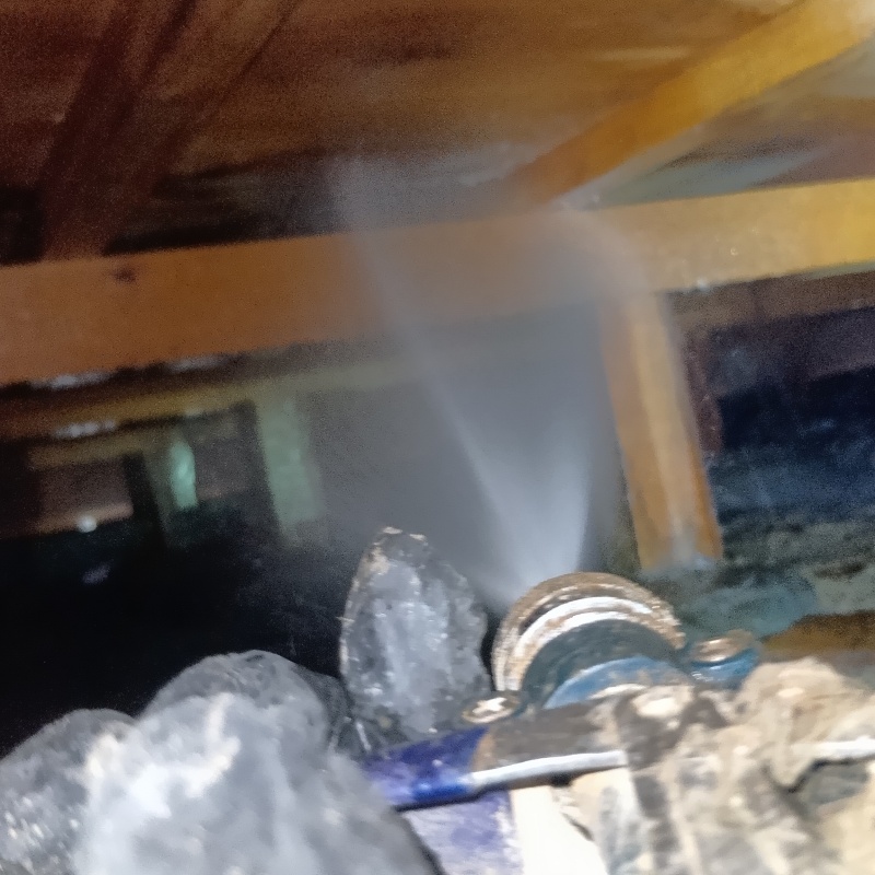 床下木材にシロアリ駆除剤を散布