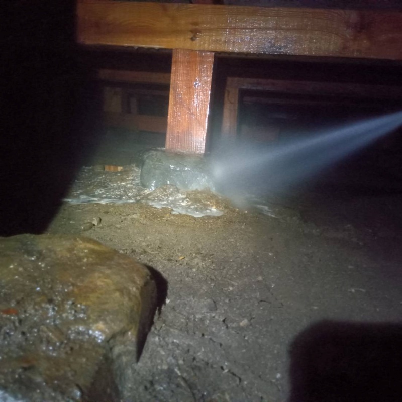 束石まわりにシロアリ駆除剤を散布