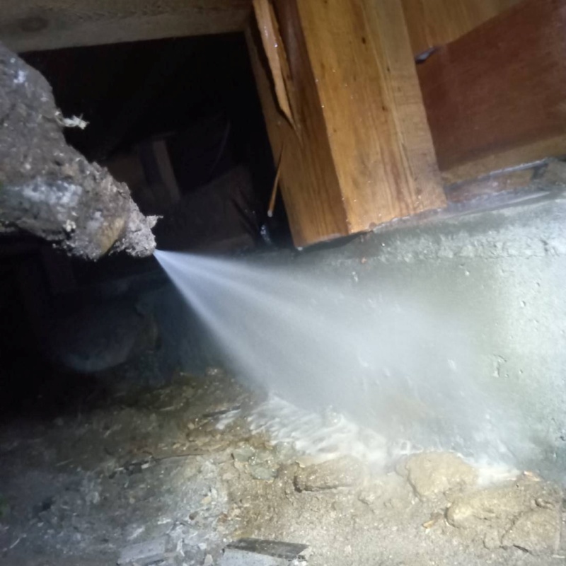 地面にシロアリ駆除剤を散布