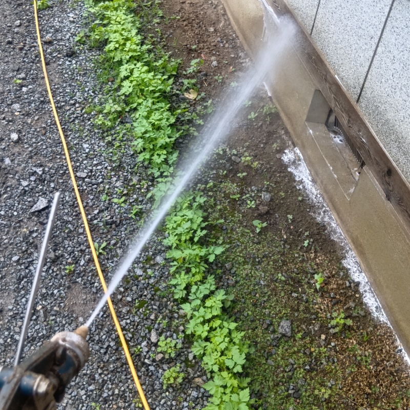 基礎まわりにシロアリ駆除剤を散布