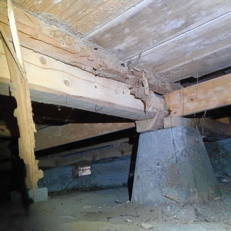 築年数50年のシロアリ駆除の施工事例（群馬県邑楽郡大泉町仙石）