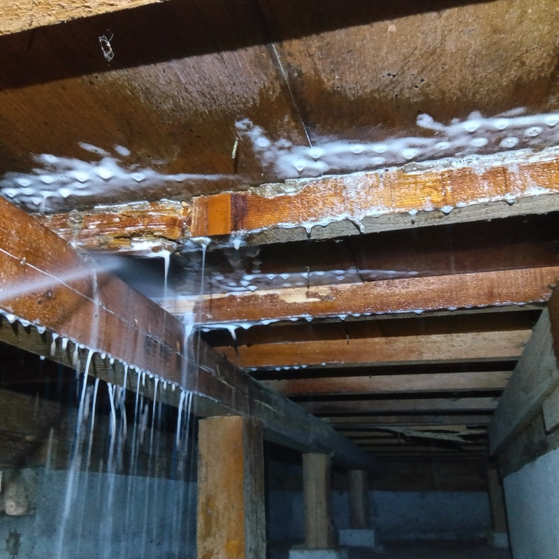 床下の木材にシロアリ駆除剤を散布する様子