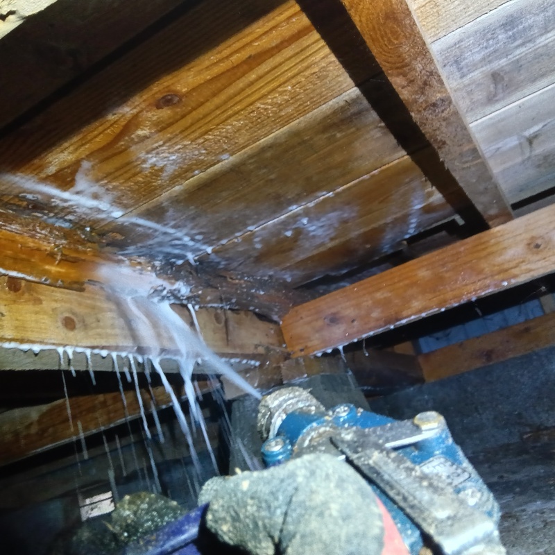 床下の木材にシロアリ駆除剤を散布する様子