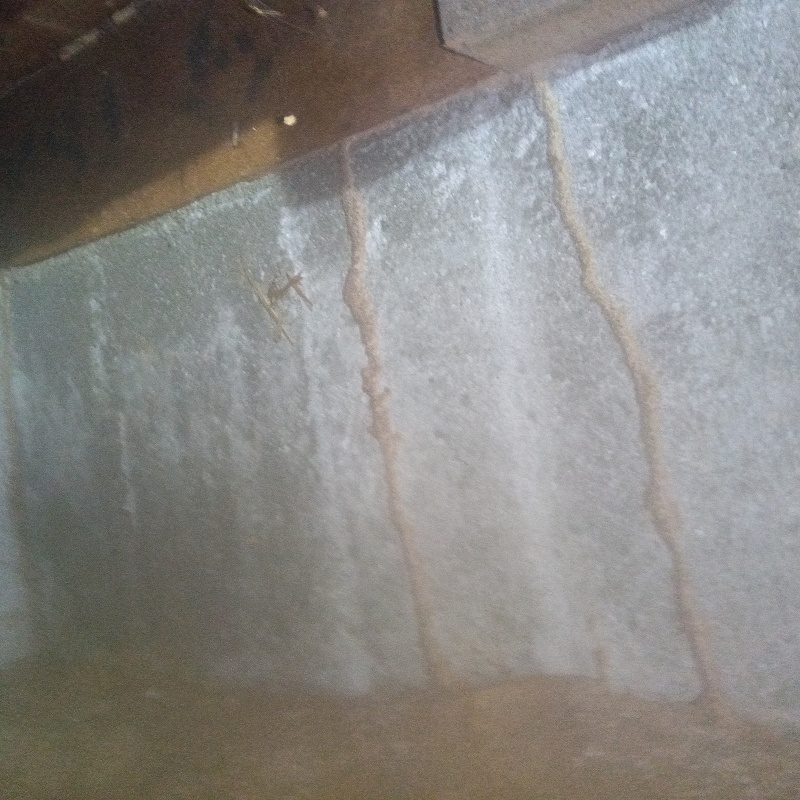 築年数53年のシロアリ駆除の施工事例（香川県高松市木太町）