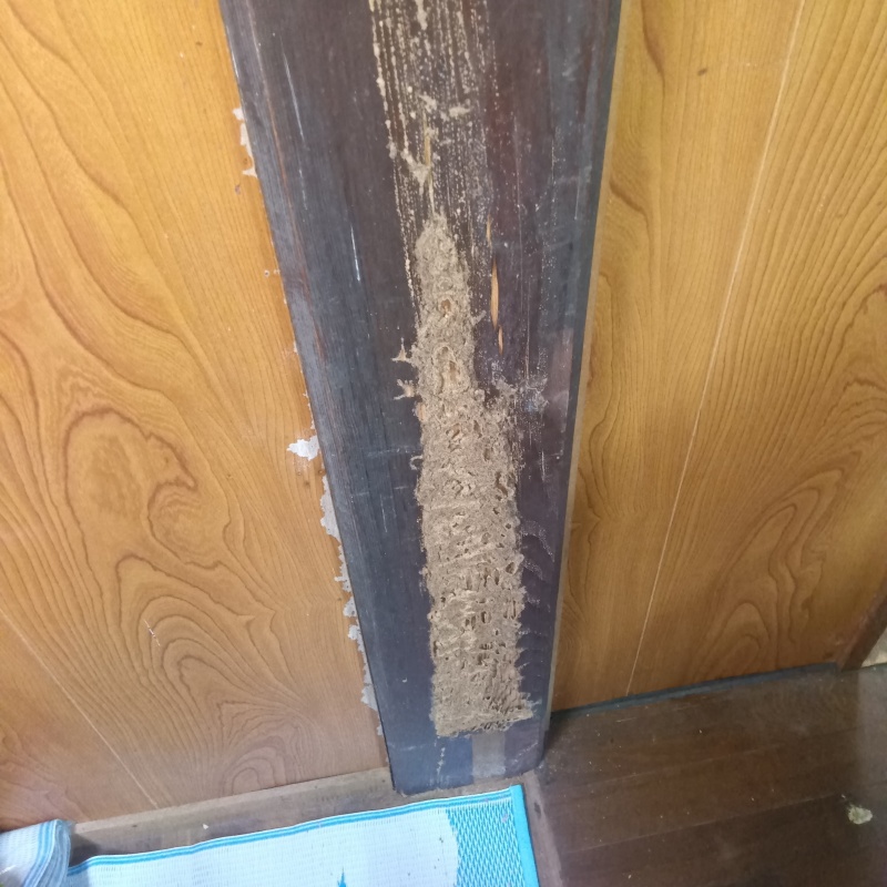 築年数100年のシロアリ駆除の施工事例（山口県岩国市平田）