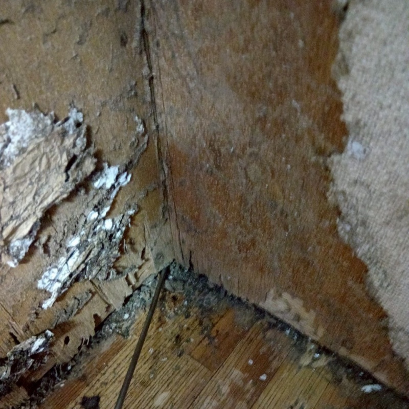 築年数60年のシロアリ駆除の施工事例（三重県伊勢市曽祢）
