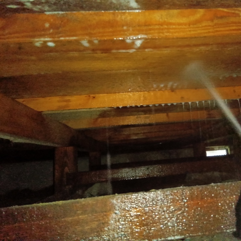 床下の木部にシロアリ駆除剤を散布