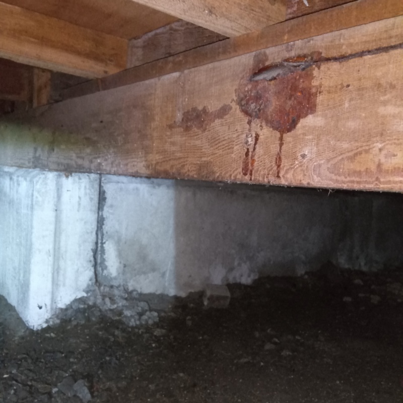 築年数50年のシロアリ駆除の施工事例（神奈川県横浜市鶴見区朝日町）
