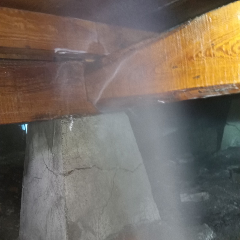 床下の木部にシロアリ駆除剤を散布