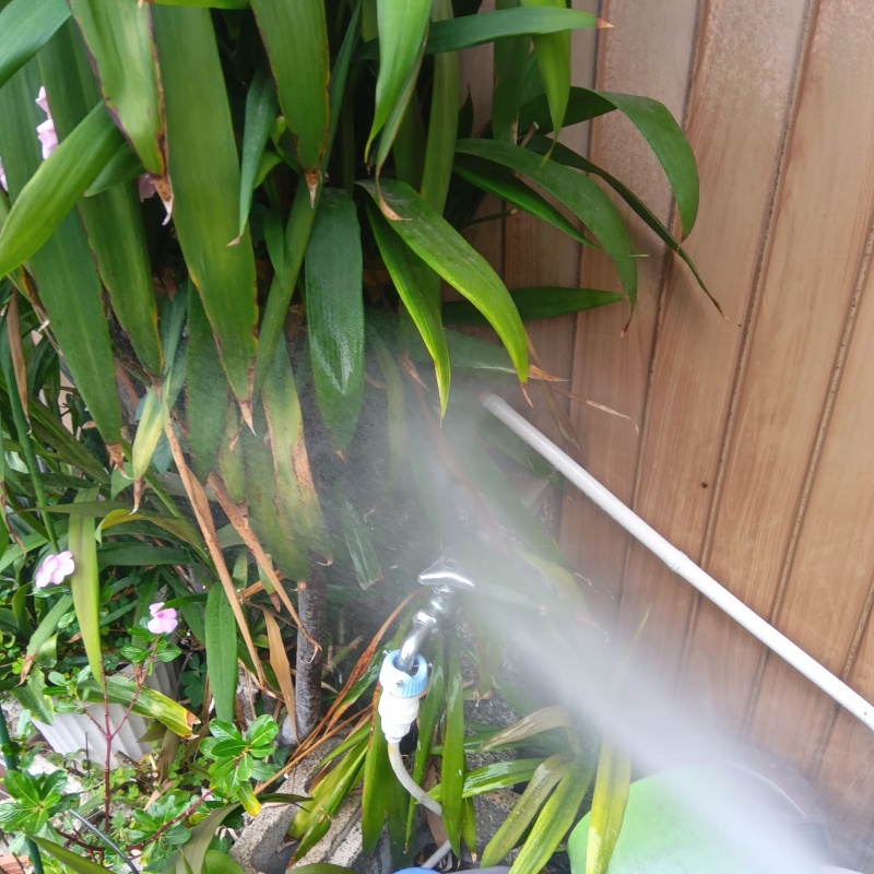 庭の草木にシロアリ駆除剤を散布