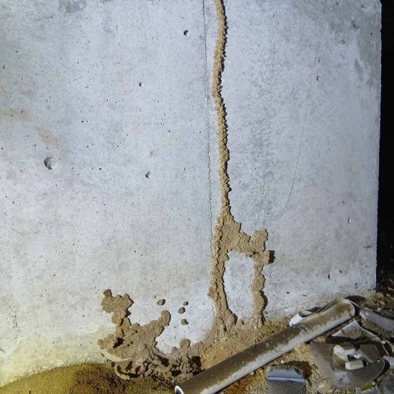 築年数32年のシロアリ駆除の施工事例（千葉県市川市鬼高）