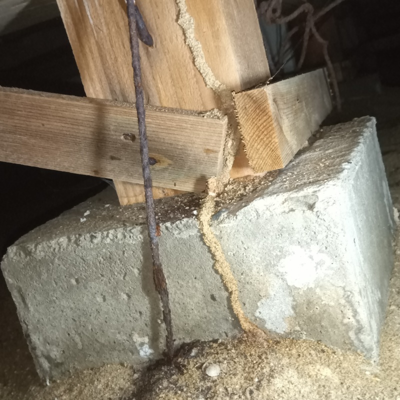 築年数30年のシロアリ駆除の施工事例（三重県伊勢市）