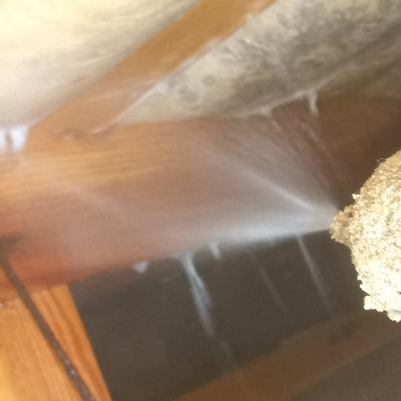 床下の木部にシロアリ駆除剤を散布