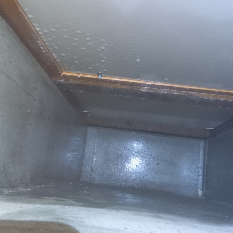 地面・基礎に防蟻剤した様子