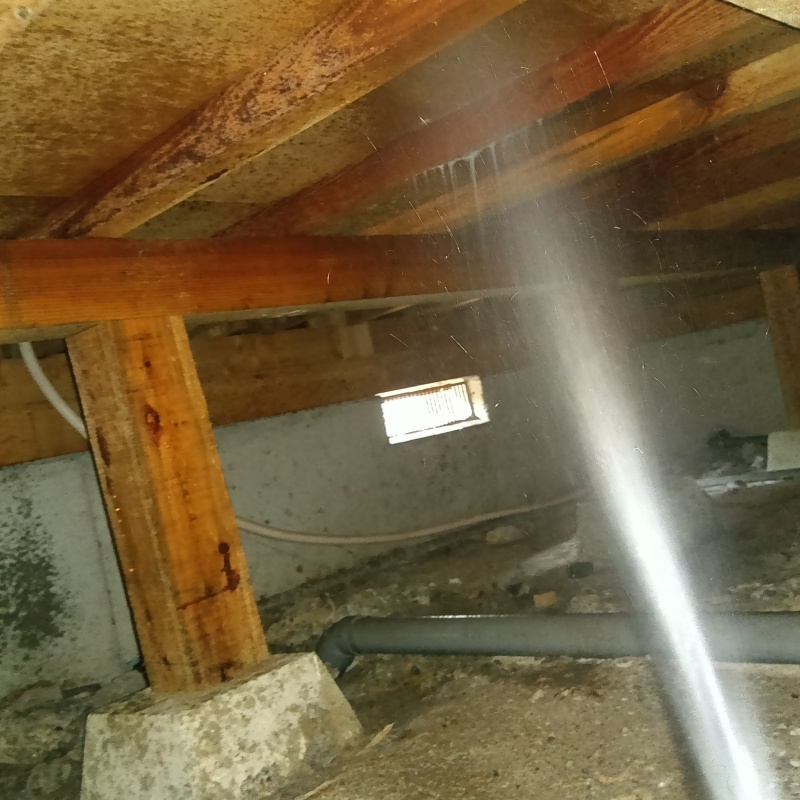 床下木材にシロアリ駆除剤を散布