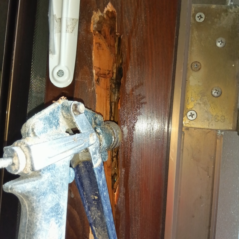 傷んだ木材にシロアリ駆除剤を散布