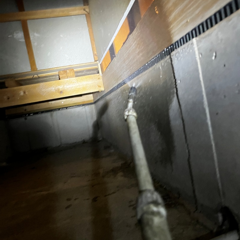 床下木材に防蟻剤を散布