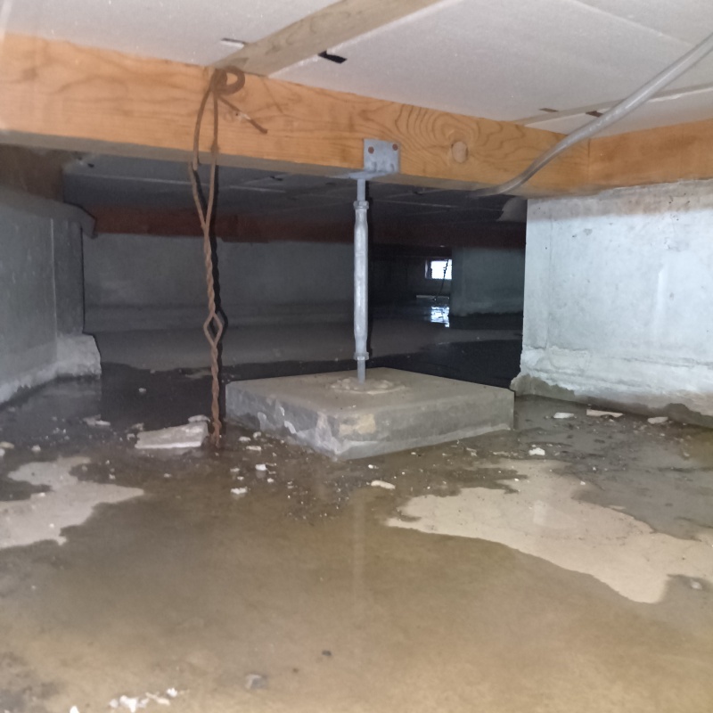 地面・基礎にシロアリ駆除剤を散布した様子