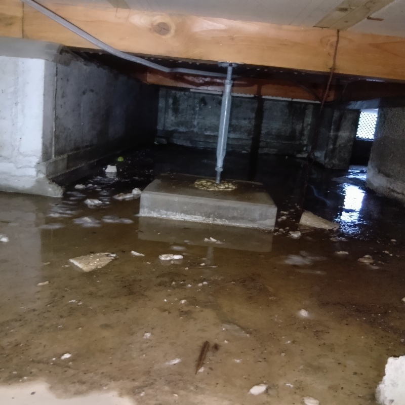 地面・基礎にシロアリ駆除剤を散布した様子