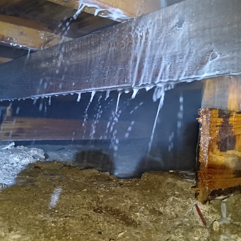 床下木材にシロアリ駆除剤を散布