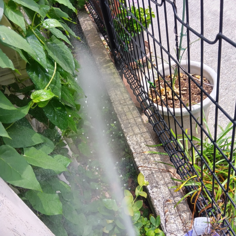 建物外周の土壌にシロアリ駆除剤を散布