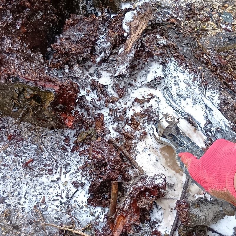 築年数32年のシロアリ駆除の施工事例（佐賀県佐賀市諸富町徳富）