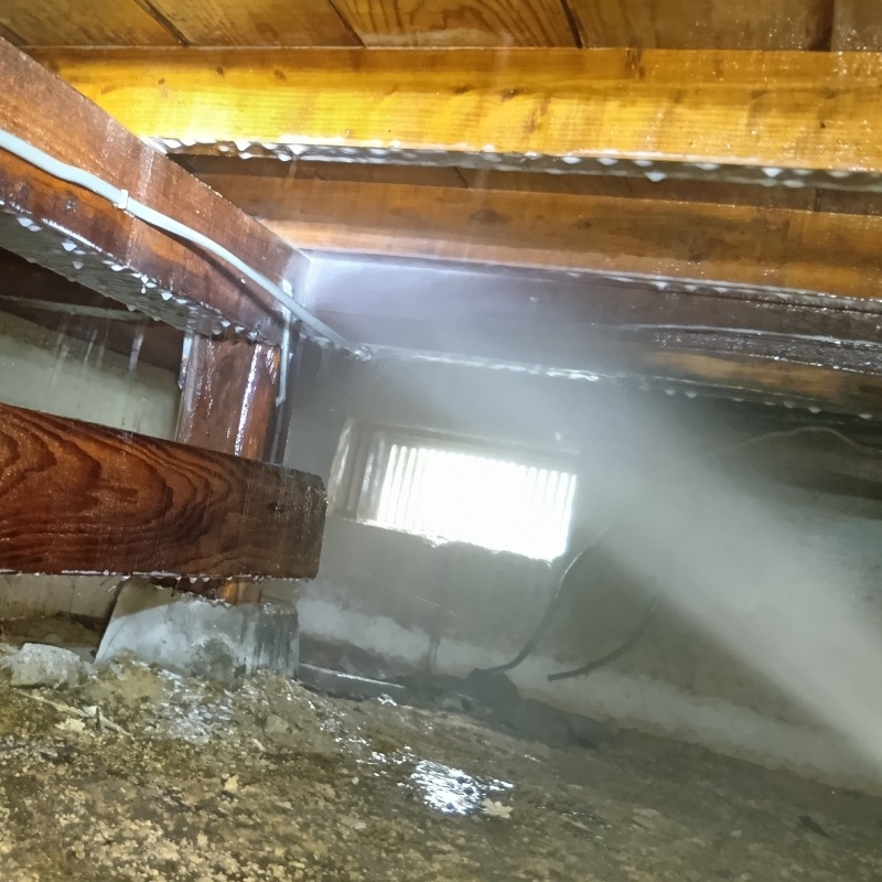 床下の木材にシロアリ駆除剤を散布