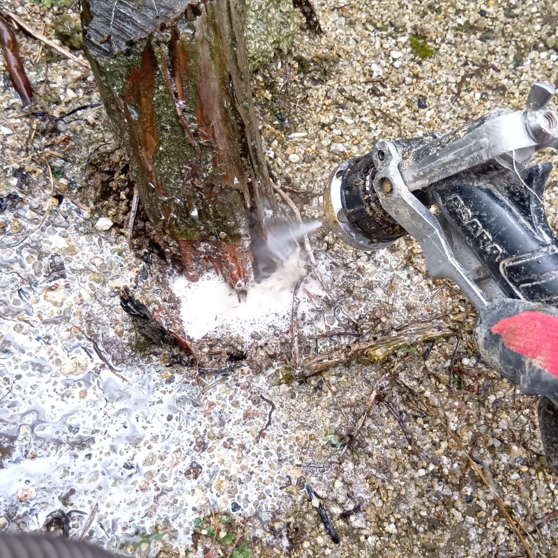 庭木にシロアリ駆除剤を散布