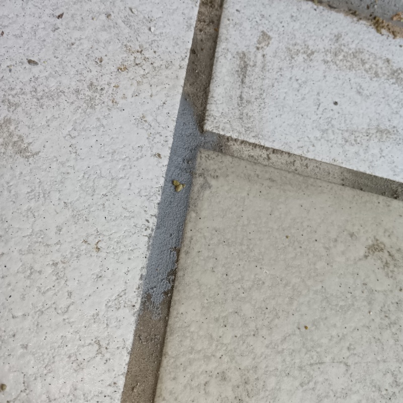 開けた穴を修復した様子