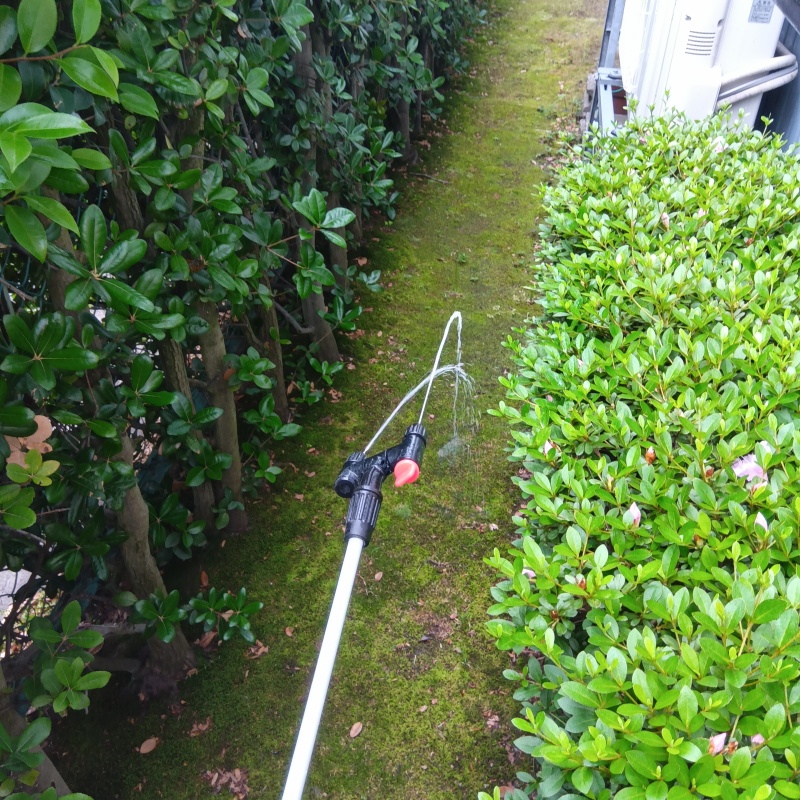 屋外の地面にシロアリ駆除剤を散布