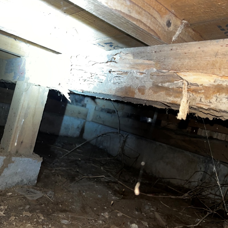 築年数65年のシロアリ駆除の施工事例（埼玉県さいたま市大宮区天沼町）