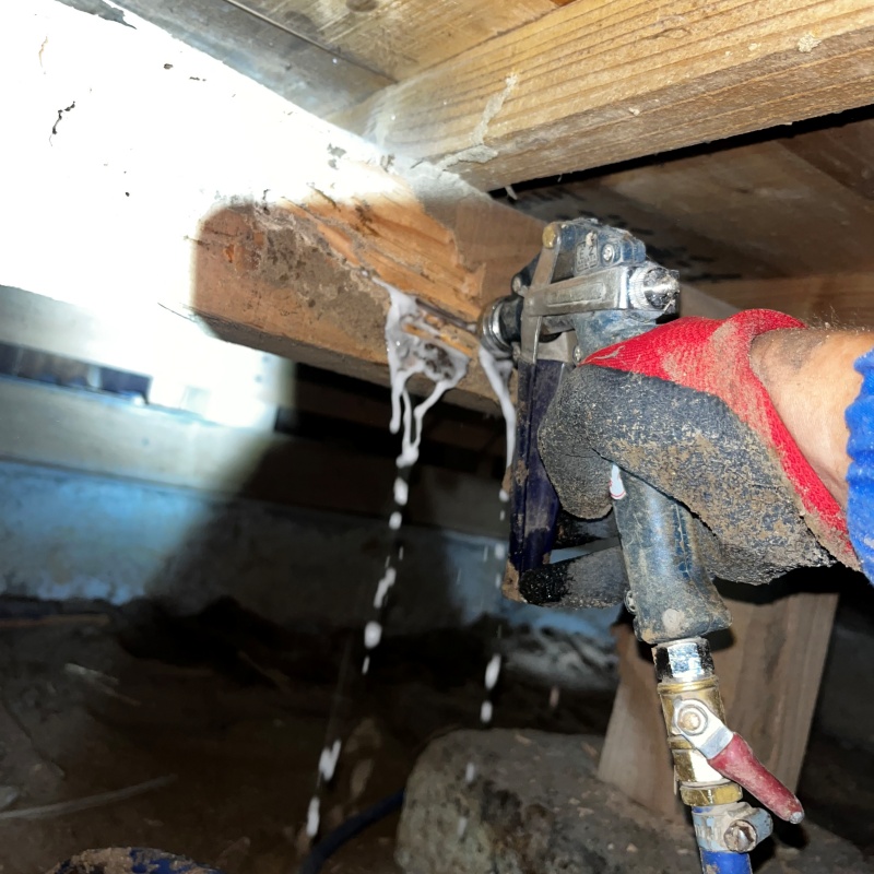 傷んだ木部にシロアリ駆除剤を注入