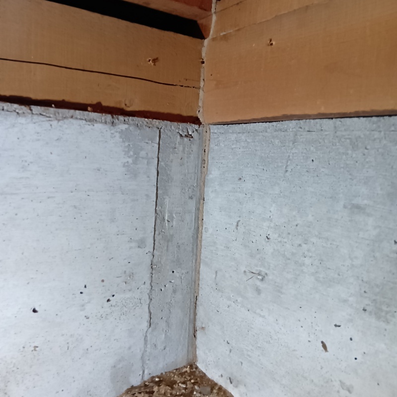 築年数35年のシロアリ駆除の施工事例（香川県坂出市）