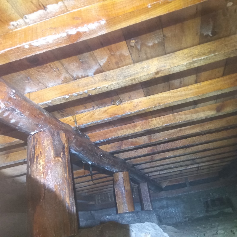 シロアリ駆除の施工事例（広島県三原市糸崎）