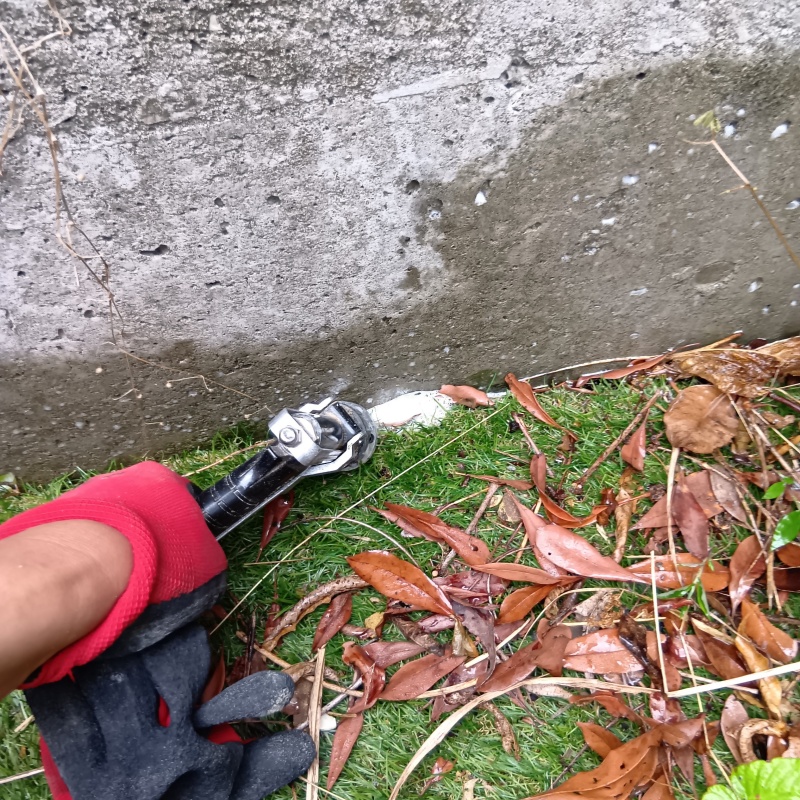 庭の土壌にシロアリ駆除剤を散布