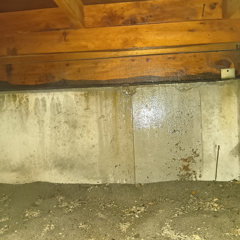 床下の基礎に防蟻剤を散布