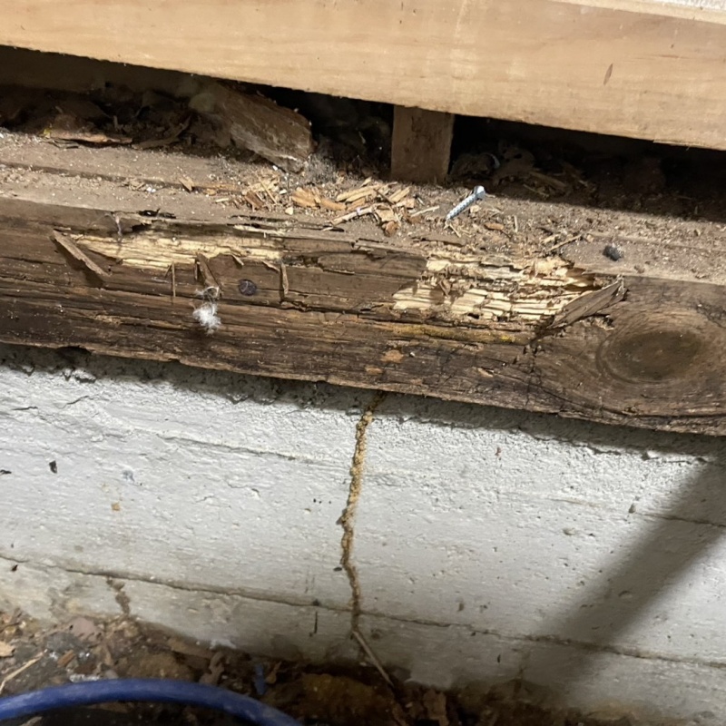 築年数50年のシロアリ駆除の施工事例（岐阜県岐阜市諏訪山）