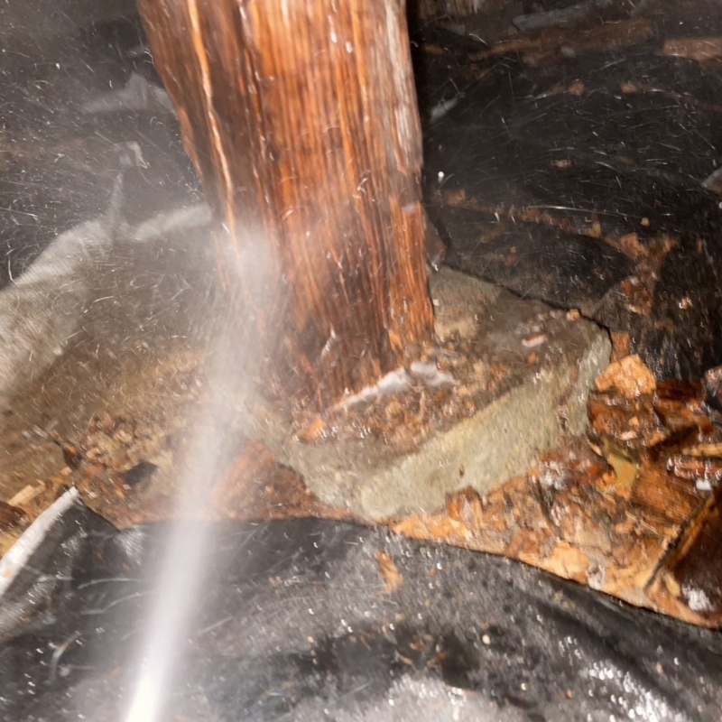 床下の木部にシロアリ駆除剤を散布