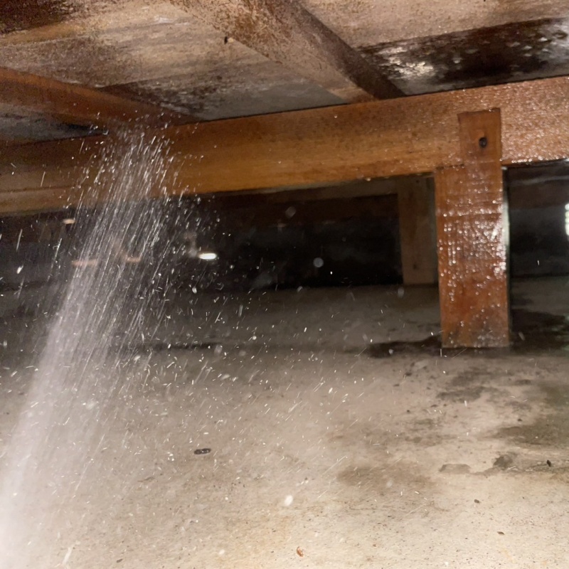 床下の木部にシロアリ駆除剤を散布