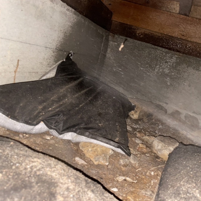 床下の土壌・基礎にシロアリ駆除剤を散布