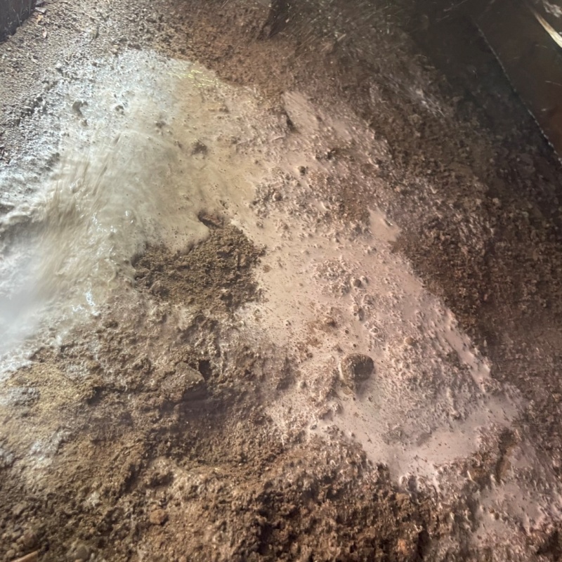 床下の地面にシロアリ駆除剤を散布