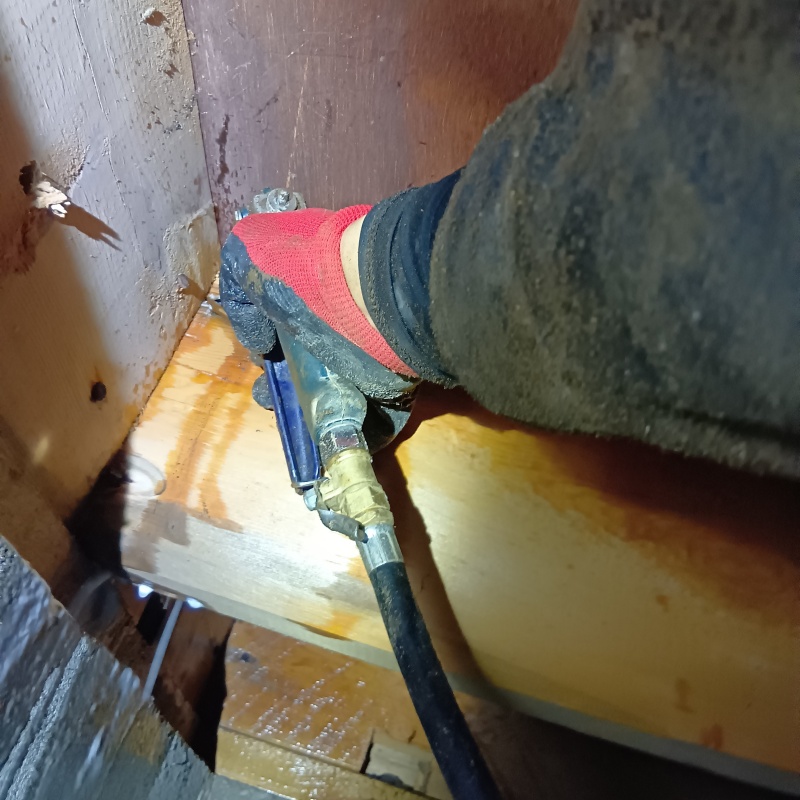 傷んだ木部にシロアリ駆除剤を注入