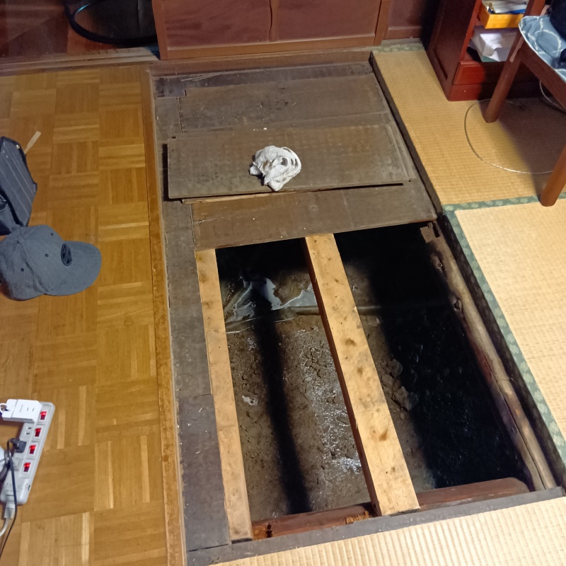 和室の床を切り抜いた様子