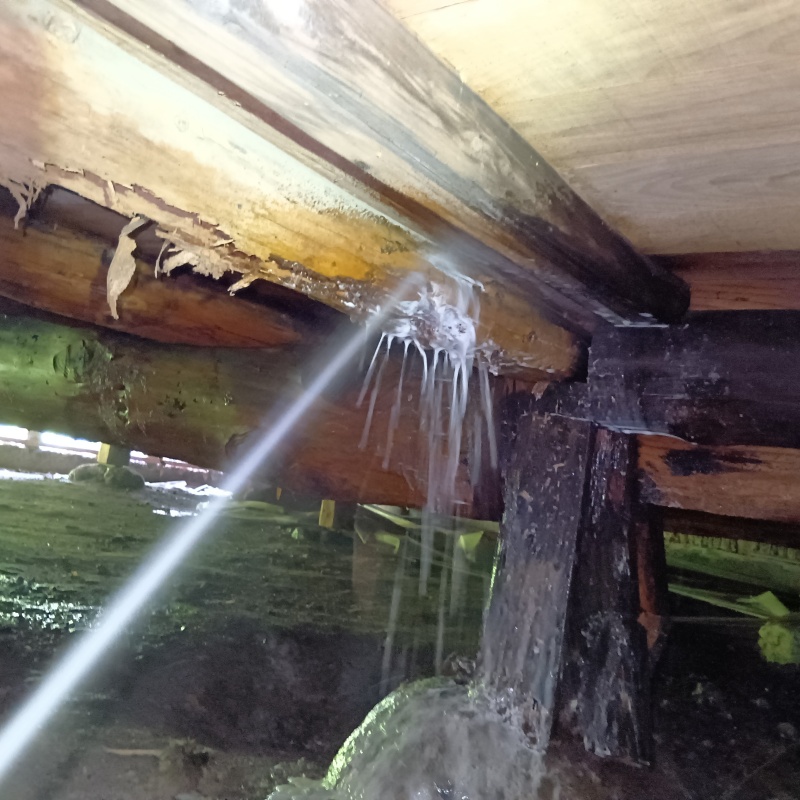 床下の木材にシロアリ駆除剤を散布