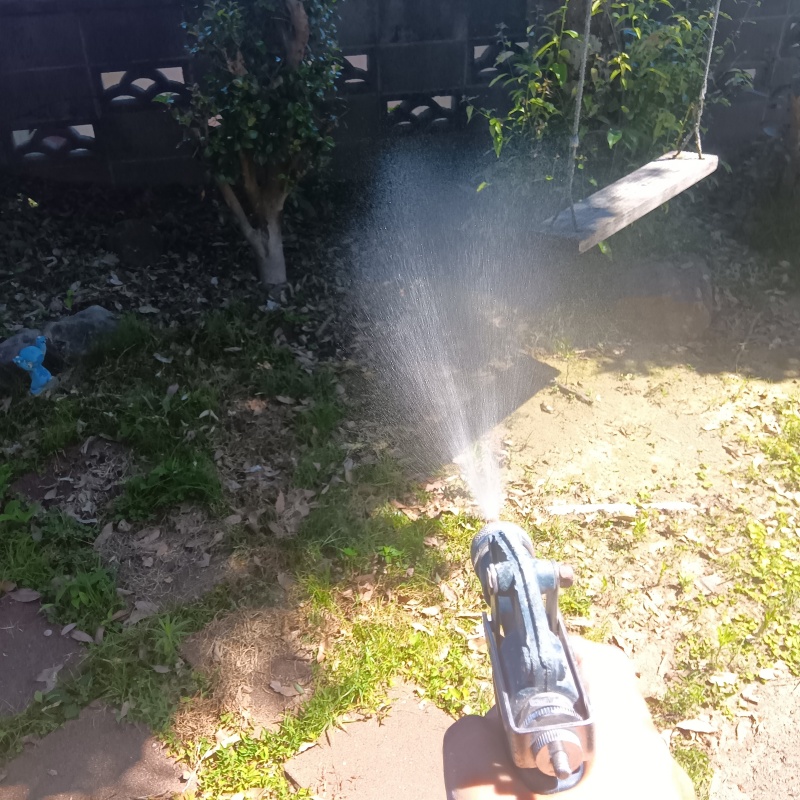 庭の草木に防蟻剤を散布